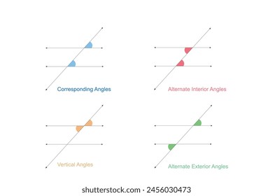 Types of angles formed by parallel lines cut by a transversal. Angle relationship with parallel lines. Mathematics illustration.