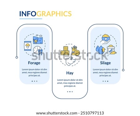 Types of animal feed rectangle infographic vector. Husbandry, livestock. cattle forage. Data visualization with 3 steps. Editable rectangular options chart