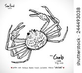 Types of animal / Hand drawn illustrations - vector