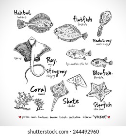 Types of animal / Hand drawn illustrations - vector