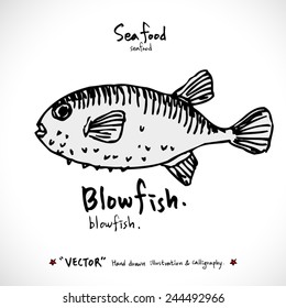 Types of animal / Hand drawn illustrations - vector