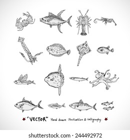 Types of animal / Hand drawn illustrations - vector