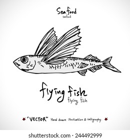 Types of animal / Hand drawn illustrations - vector