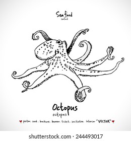 Types of animal / Hand drawn illustrations - vector