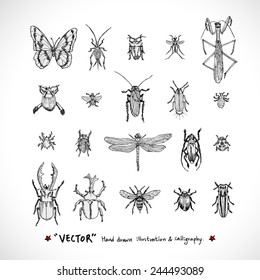 Types of animal / Hand drawn illustrations - vector