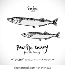 Types of animal / Hand drawn illustrations - vector