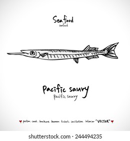 Types of animal / Hand drawn illustrations - vector