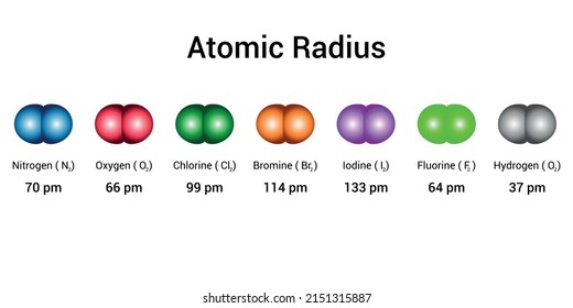 types of atomic radius of a chemical element. Nitrogen, oxygen, chlorine, bromine, iodine, fluorine and hydrogen atomic radius vector illustration isolated on white background