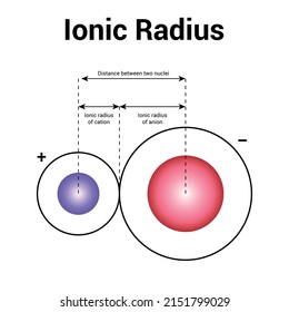 Typen des atomaren Radius eines chemischen Elements. Ionische Radius-Vektorgrafik einzeln auf weißem Hintergrund