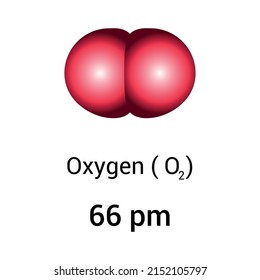 types of atomic radius of a chemical element. Atomic radius of oxygen.Vector illustration isolated on white background