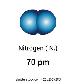 types of atomic radius of a chemical element. Atomic radius of nitrogen.Vector illustration isolated on white background