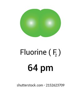 types of atomic radius of a chemical element. Atomic radius of fluorine.Vector illustration isolated on white background