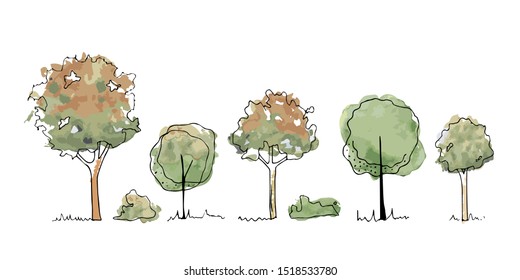 Types of autumn Trees, Bushes, Tree watercolor sketches for landscape design. Vector illustration, hand drawn, isolated on white background. 