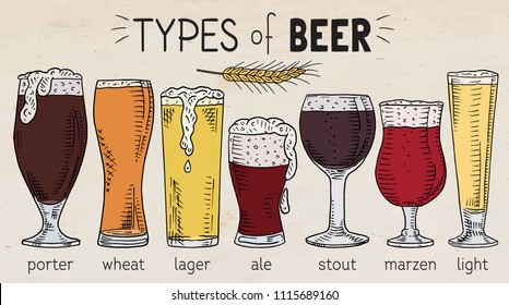 types of beer. Beautiful illustration of porter, wheat, stout, ale, light, lager beer