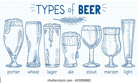 types of beer. Beautiful illustration of porter, wheat, stout, ale, light, lager beer