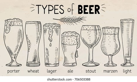 types of beer. Beautiful illustration of porter, wheat, stout, ale, light, lager beer