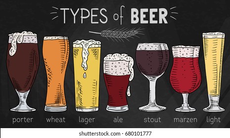 types of beer on the chalkboard background. Beautiful illustration of porter, wheat, stout, ale, light, lager beer