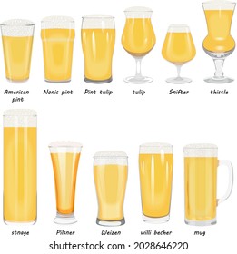 Types of beer utensils. Set of beer glasses with light craft beer American pint, nonic pint, pint tulip, tulip, snifter, thistle, stnage, pilsner, Weizen, Willi Becher, beer mug. Vector illustration