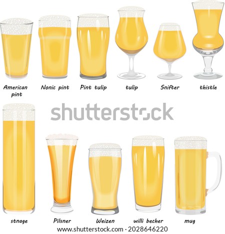 Types of beer utensils. Set of beer glasses with light craft beer American pint, nonic pint, pint tulip, tulip, snifter, thistle, stnage, pilsner, Weizen, Willi Becher, beer mug. Vector illustration