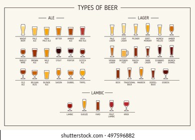 Biersorten. Verschiedene Biersorten in empfohlenen Gläsern. Vektorgrafik