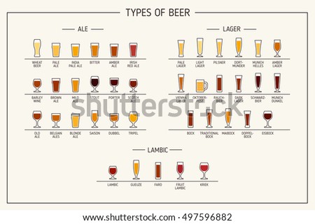 Types of beer. Various types of beer in recommended glasses. Vector illustration