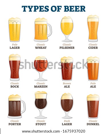Types of beer vector illustration. Alcoholic beverage menu collection set. Labeled visualization with various glasses styles for lager, pilsener, ale, dunkel and porter drinks. Color comparison poster