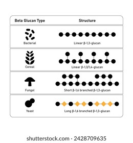 Types of Beta Glucan Molecule Structure Scientific Design. Vector Illustration.	