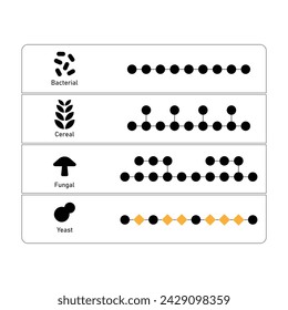 Types of Beta Glucan Molecule Structure Scientific Design. Vector Illustration.	