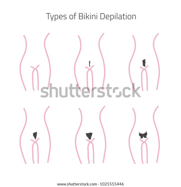 Types Bikijni Hair Removal Flat Linear Stock Vector Royalty Free