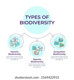 Types of biodiversity circular diagram infographic. Various ecosystems. Wildlife concepts. Data visualization with 3 options. Hierarchy chart round