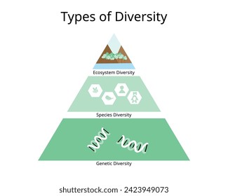 Types of biodiversity for ecological biodiversity, species, genetic biodiversity