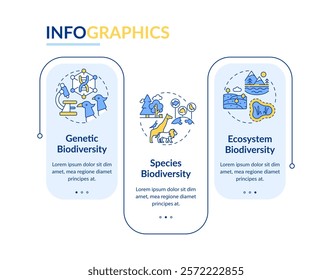 Types of biodiversity rectangle infographic vector. Various ecosystems. Wildlife concepts. Data visualization with 3 steps. Editable rectangular options chart