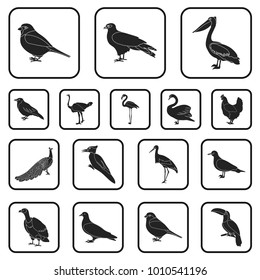 Types of birds black icons in set collection for design. Home and wild bird vector symbol stock web illustration.