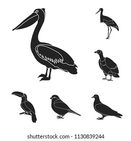 Types of birds black icons in set collection for design. Home and wild bird vector symbol stock web illustration.