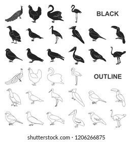 Types of birds black icons in set collection for design. Home and wild bird vector symbol stock web illustration.