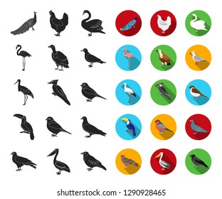 Types of birds black,flat icons in set collection for design. Home and wild bird vector symbol stock web illustration.