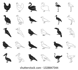 Types of birds black,outline icons in set collection for design. Home and wild bird vector symbol stock web illustration.