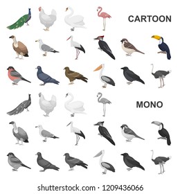 Types of birds cartoon icons in set collection for design. Home and wild bird vector symbol stock web illustration.