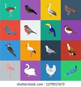 Types of birds cartoon icons in set collection for design. Home and wild bird vector symbol stock web illustration.