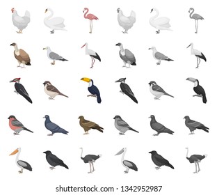 Types of birds cartoon,mono icons in set collection for design. Home and wild bird vector symbol stock web illustration.