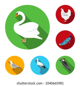 Types of birds flat icons in set collection for design. Home and wild bird vector symbol stock web illustration.