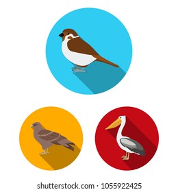 Types of birds flat icons in set collection for design. Home and wild bird vector symbol stock web illustration.