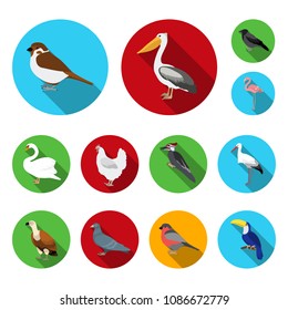 Types of birds flat icons in set collection for design. Home and wild bird vector symbol stock web illustration.