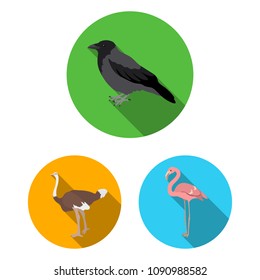 Types of birds flat icons in set collection for design. Home and wild bird vector symbol stock web illustration.