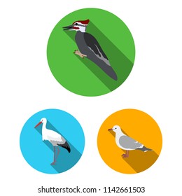 Types of birds flat icons in set collection for design. Home and wild bird vector symbol stock web illustration.