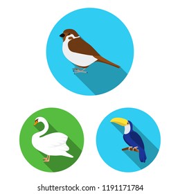 Types of birds flat icons in set collection for design. Home and wild bird vector symbol stock web illustration.