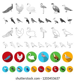 Types of birds flat icons in set collection for design. Home and wild bird vector symbol stock web illustration.