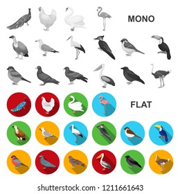 Types of birds flat icons in set collection for design. Home and wild bird vector symbol stock web illustration.