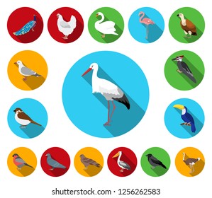 Types of birds flat icons in set collection for design. Home and wild bird vector symbol stock web illustration.