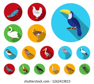 Types of birds flat icons in set collection for design. Home and wild bird vector symbol stock web illustration.